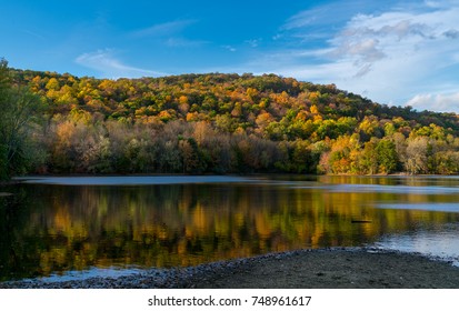 Scarlet Oak Pond, New Jersey  In Autumn