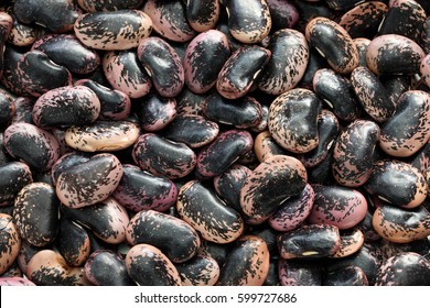 Scarlet Runner Beans