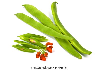 Scarlet Runner Beans With Flower