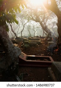 Scary Cemetary With Fog And Trees. Graveyard, Tomb, Burial, And Creepy Trees