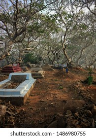 Scary Cemetary With Fog And Trees. Graveyard, Tomb, Burial, And Creepy Trees