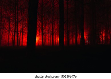 11,994 Scary red forest Images, Stock Photos & Vectors | Shutterstock