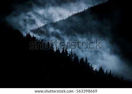 Similar – Image, Stock Photo in the fog Fog Clouds