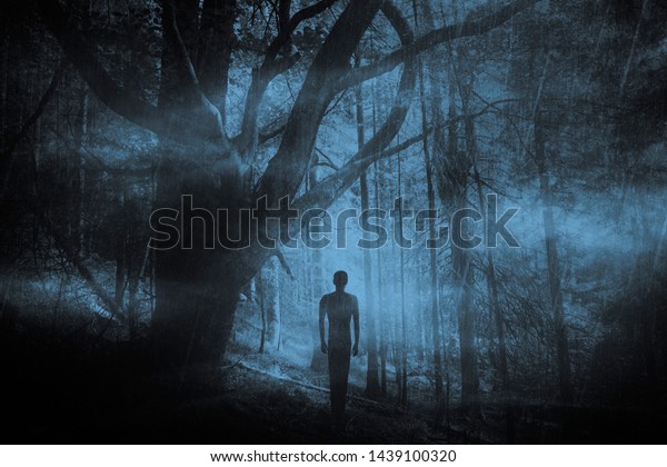 暗い幻想の森の夜の怖い幽霊 の写真素材 今すぐ編集