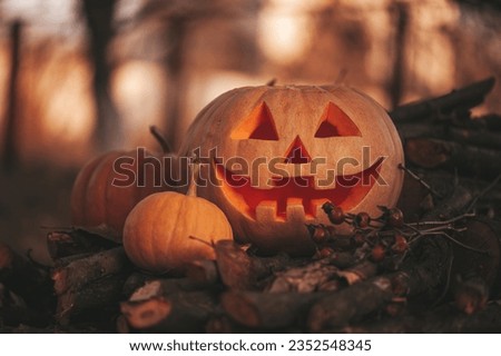 Scary jack lantern halloween pumpkins in sun day on ground among dry leaves at street. All hallows eve decoration funny pumpkin with candles on candlestick at fall background in open air near house