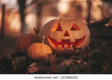 Scary Jack O Lantern Halloween Pumpkins In Sun Day On Ground Among Dry Leaves At Street. Hallows Eve Decoration Funny Glow Pumpkin With Candles On Candlestick At Fall Background In Open Air Near House