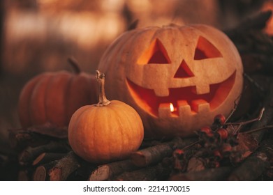 Scary Jack O Lantern Halloween Pumpkins In Sun Day On Ground Among Dry Leaves At Street. Hallows Eve Decoration Funny Glow Pumpkin With Candles On Candlestick At Fall Background In Open Air Near House