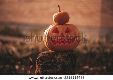 Scary Jack O Lantern halloween pumpkins in sun day on ground among dry leaves at street. Hallows eve decoration funny glow pumpkin with candles on candlestick at fall background in open air near house