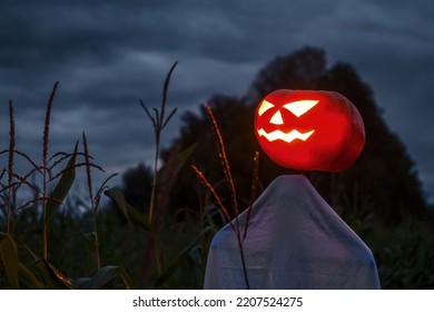 A Scary Jack-o'-lantern Made From A Pumpkin In A Corn Field At Night. Creepy Halloween Concept.