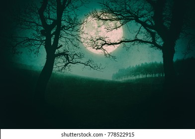 Scary Landscape At Night With Trees And Full Moon