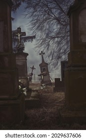 Scary Leaning Cross Tomb Stones In A Foggy Dark Winter Scene. Old Creepy Christian Graves On Cemetery In Europe. Halloween Wallpaper. Rest In Peace. Spooky Aged Tombstones At Grave Yard With Trees