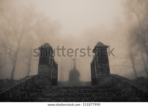 Scary Old Entrance Forest Graveyard Dense Stock Photo (Edit Now) 151877990