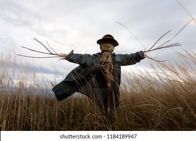 231 Scary cornfield Images, Stock Photos & Vectors | Shutterstock