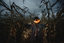 Scary Scarecrow With Pumpkin Head In A Hat And Coat On Night Cornfield. Spooky Halloween Holiday Concept. Halloweens Background