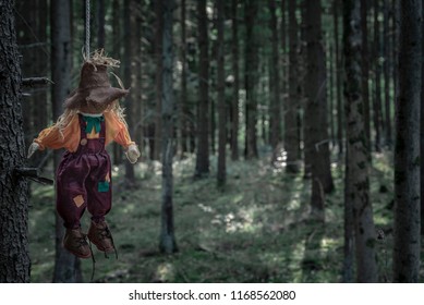 Image result for PICTURES OF SCARY DARK NORTHERN ONTARIO WOODS
