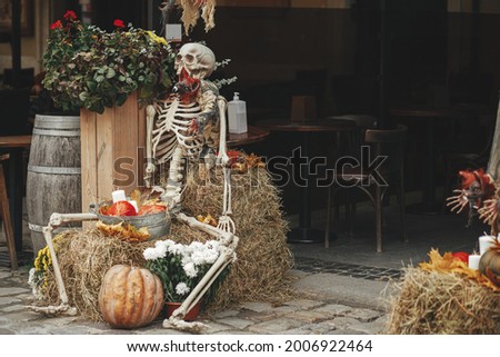 Scary skeleton, bat, pumpkins, flowers and hay stacks in city street, holiday decoration of storefronts and buildings. Spooky Halloween street decor. Space for text. Trick or treat. Happy halloween