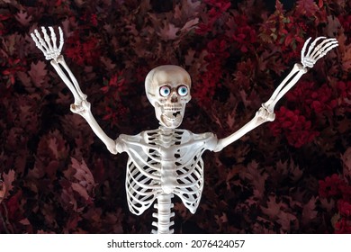 Scary skeleton, holiday decoration of storefront. Spooky Halloween street decor. Trick or treat. Happy halloween. Agressive human skeleton toy scares everyone. Halloween concept - Powered by Shutterstock