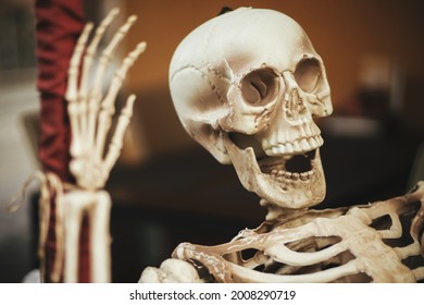 Scary Skeleton, Skull And Hand Close Up In City Street, Holiday Decoration. Spooky Halloween Street Decor. Trick Or Treat. Happy Halloween. Autumn Market In Town. Creepy