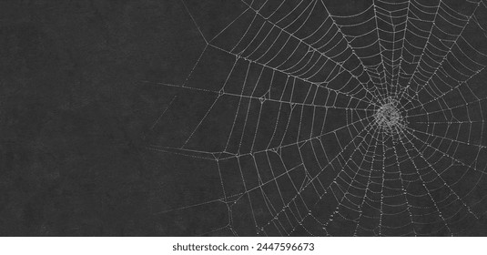 Scary spider webs. White cobweb silhouette isolated on black background. Set of doodle spider webs. Hand drawn cob webs for Halloween party.  - Powered by Shutterstock