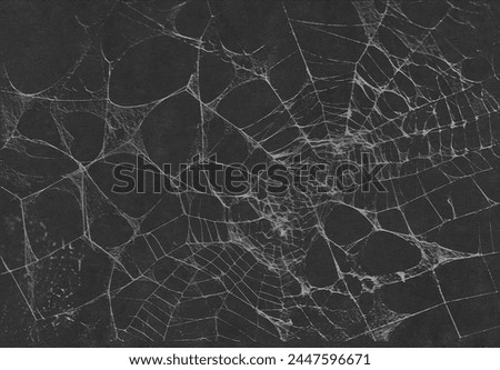 Scary spider webs. White cobweb silhouette isolated on black background. Set of doodle spider webs. Hand drawn cob webs for Halloween party. 
