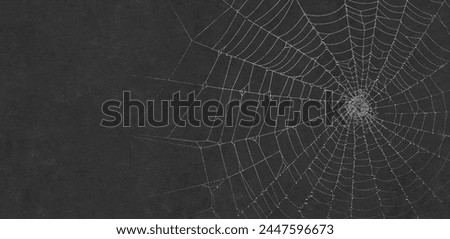Scary spider webs. White cobweb silhouette isolated on black background. Set of doodle spider webs. Hand drawn cob webs for Halloween party. 
