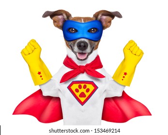 scary super hero dog with  hiding behind a blank banner