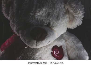 Scary Teddy Bear In Horror Mood