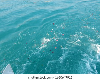 Scatter Ashes Over The Sea.Funeral Ceremony.