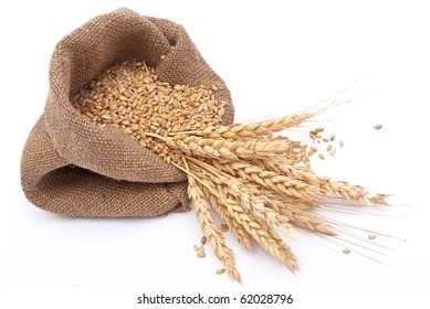 The Scattered Bag With Wheat Of A Grain