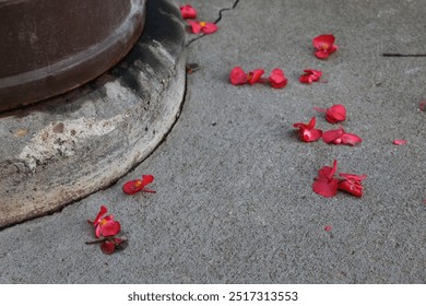 scattered delicate red flower petals around a rustic weathered city post on a pavement background - Powered by Shutterstock