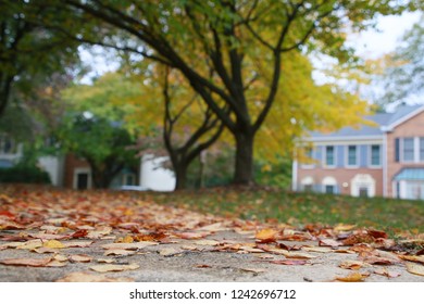Scattered Fallen Brown Leaves on a Sidewalk at Ground Level with Trees and Townhomes Out of Focus in the Background in October in Burke, Virginia