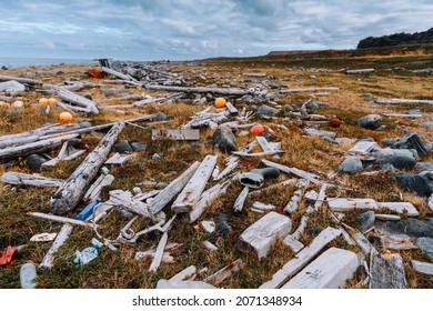 Scattered garbage on the beach. Empty used dirty plastic. Dirty sea  shore the Barents  Sea. Environmental pollution with plastic . Ecological problem.