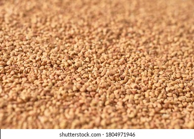 Scattered grains of buckwheat. Background. Agricultural concept - Shutterstock ID 1804971946