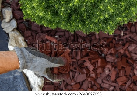 Scattering red tree bark around garden shrubs, acidifying the soil around garden plants, designing the garden space