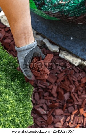 Scattering red tree bark around garden shrubs, acidifying the soil around garden plants, designing the garden space