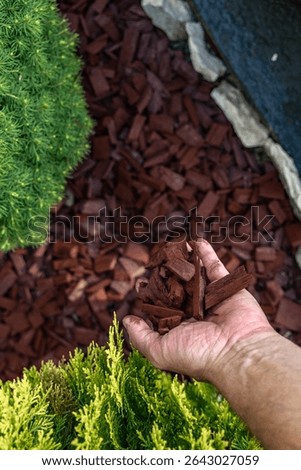 Scattering red tree bark around garden shrubs, acidifying the soil around garden plants, designing the garden space