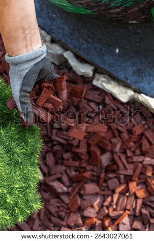 Scattering red tree bark around garden shrubs, acidifying the soil around garden plants, designing the garden space