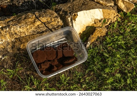 Scattering red tree bark around garden shrubs, acidifying the soil around garden plants, designing the garden space
