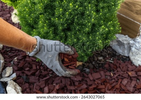 Scattering red tree bark around garden shrubs, acidifying the soil around garden plants, designing the garden space