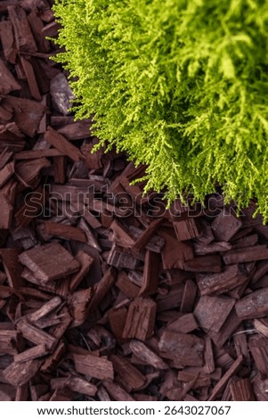Scattering red tree bark around garden shrubs, acidifying the soil around garden plants, designing the garden space