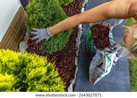 Scattering red tree bark around garden shrubs, acidifying the soil around garden plants, designing the garden space