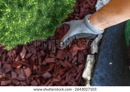 Scattering red tree bark around garden shrubs, acidifying the soil around garden plants, designing the garden space