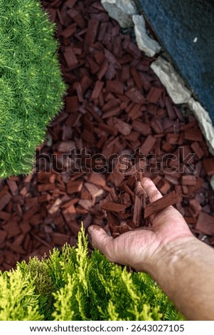 Scattering red tree bark around garden shrubs, acidifying the soil around garden plants, designing the garden space