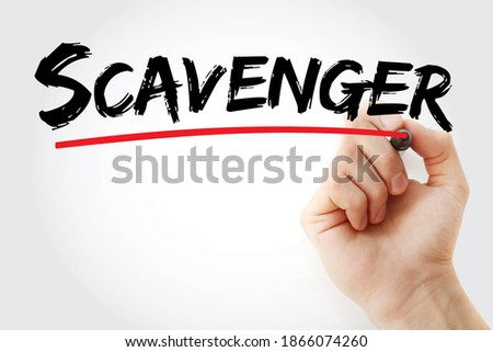 Scavenger - animal that feeds on carrion, dead plant material or refuse, text with marker concept background