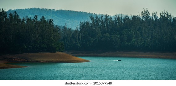 a scenary of river and trees