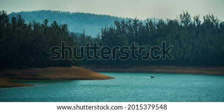 a scenary of river and trees