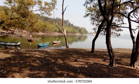scene