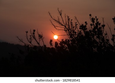 Scene Along Highway 280 On San Francisco Peninsula As Sun Is Seen Setting Through Clouds Of Smoke