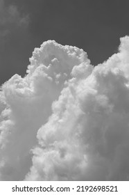 A scene of blue sky and clouds in bloom.

Black and White.

