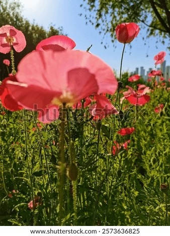 The scene captures elements of nature such as grass, trees, and a blue sky overhead. 
